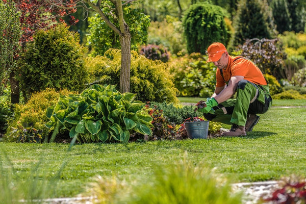 How to Hire Landscapers: A Guide for Commercial Landscape Companies
