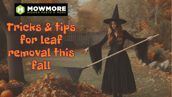 Tricks & Tips for Leaf Removal this Fall