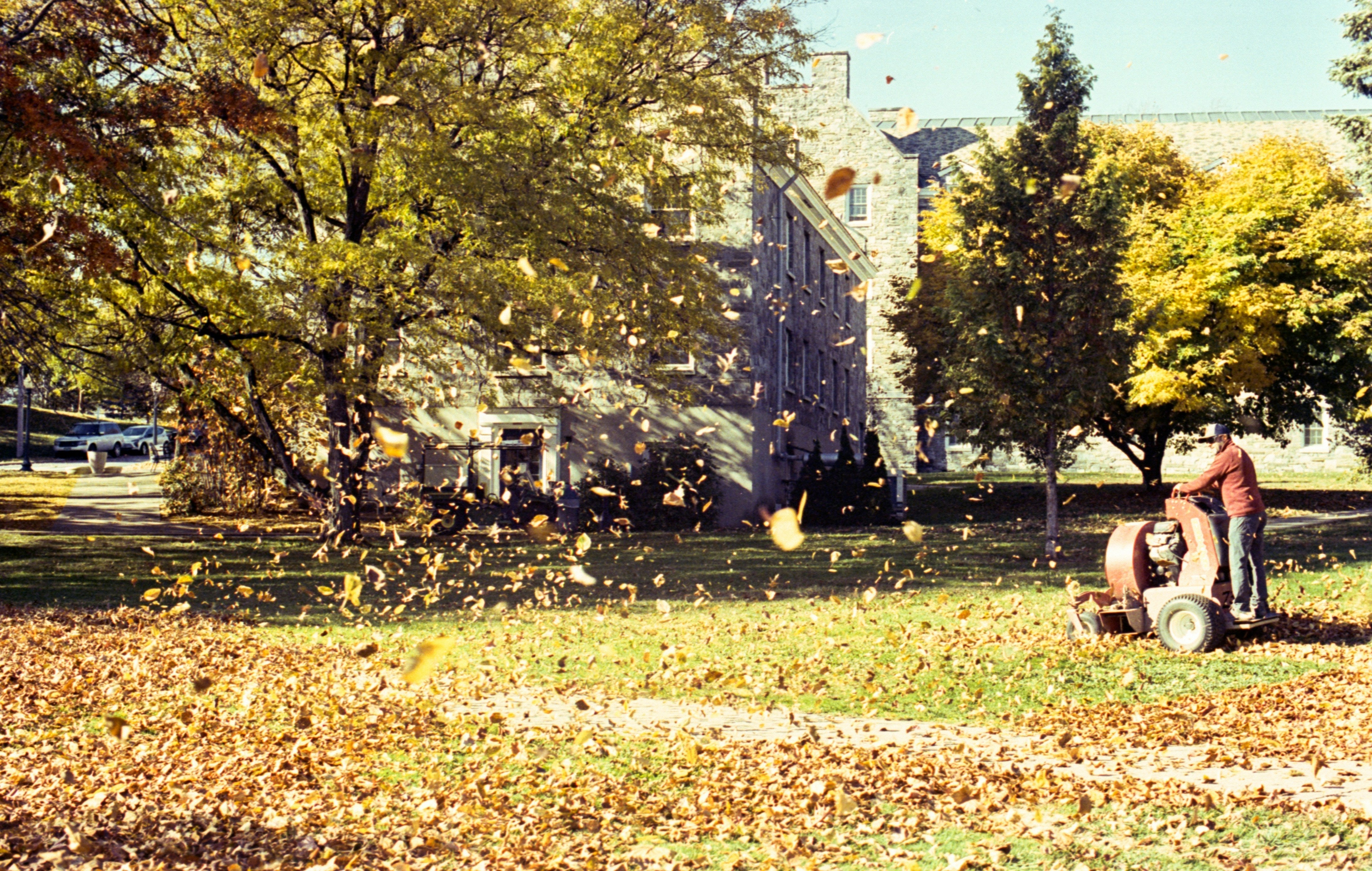 The Best Mower Blades for Fall Leaf Cleanup - MowMore
