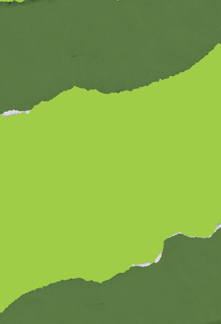 Solid green color swatch