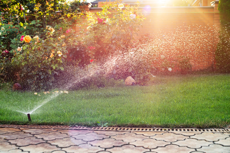 Create Added Value for Your Commercial Customers as a Certified Irrigation Contractor