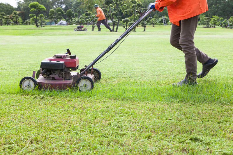 4 Ways to Attract Your First Lawn Care Customers