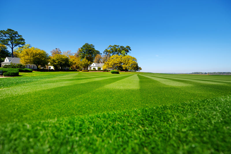 Is Your Lawn Maintenance Company Ready for 2022? Here's What You Can Expect