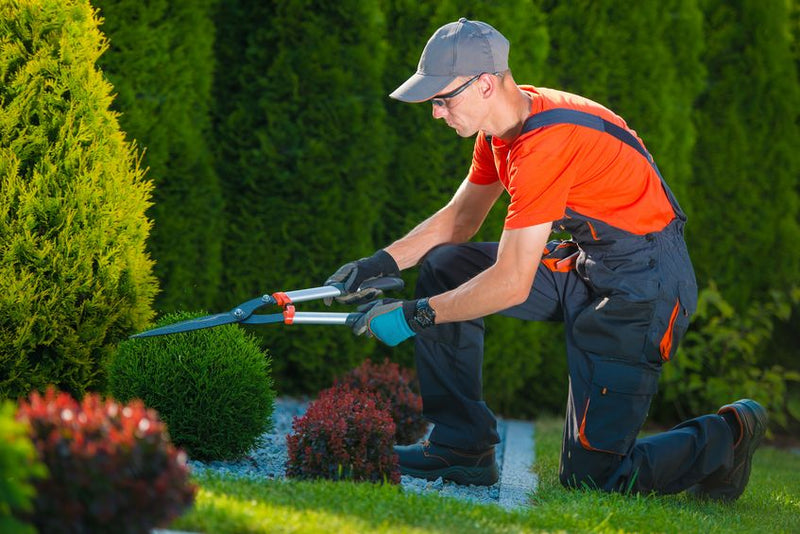 5 Benefits of Quality Landscaping