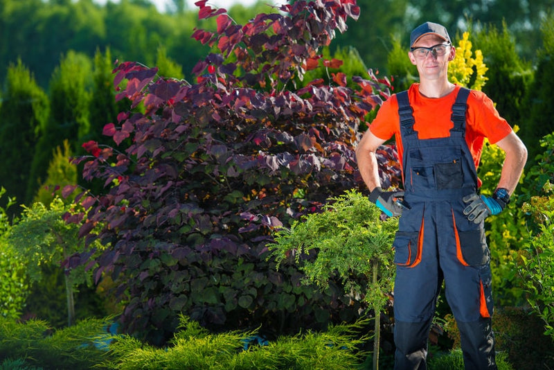 How to Thrive in the Landscaping Industry