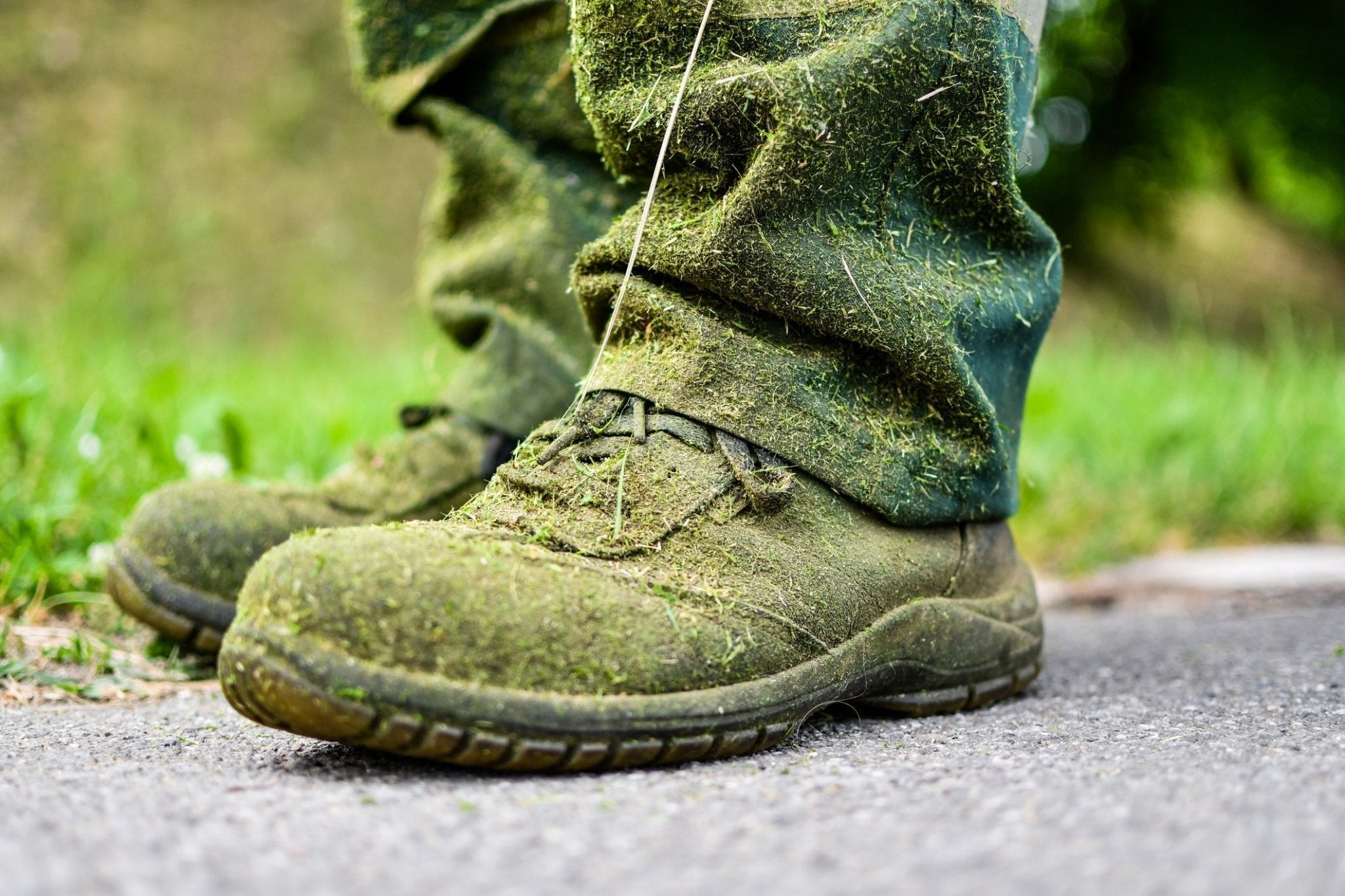How to Hire Landscaping Employees: 9 Tips for Partnering with New Hires - MowMore