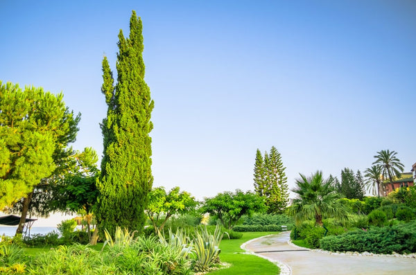 6 Tips For Commercial Property Landscaping Maintenance