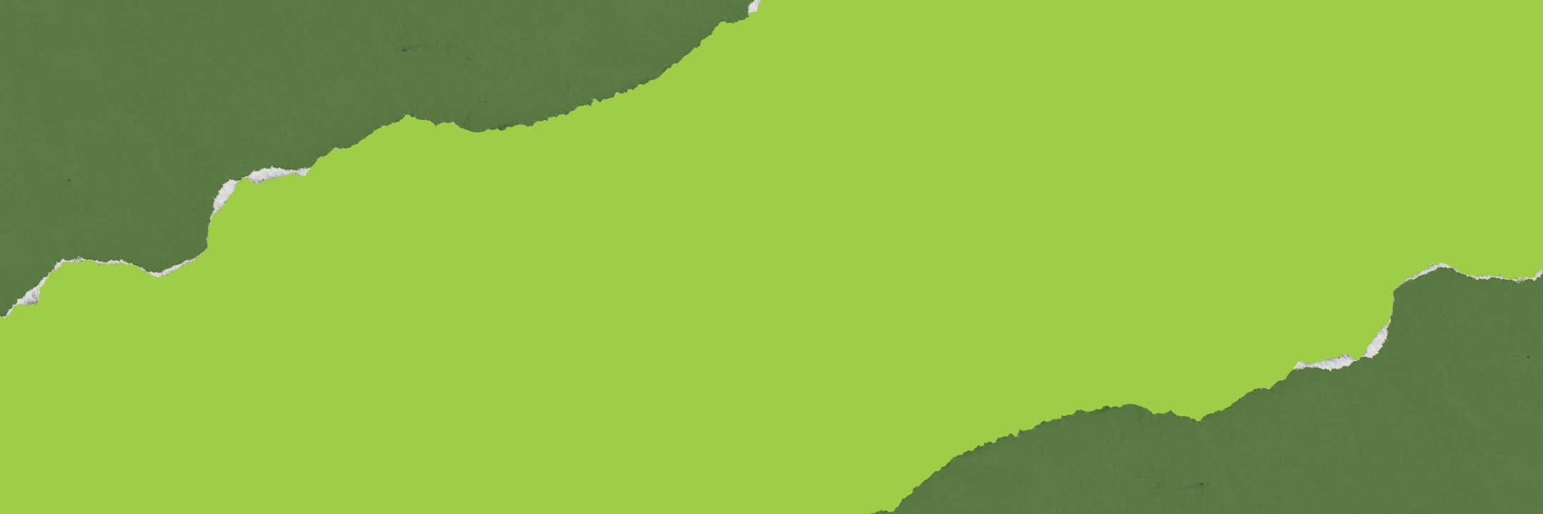 Green leaf with a blurred background