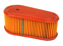 Replaces Briggs & Stratton Air FIlter 795066 | BS12968, BS12968 | MowMore
